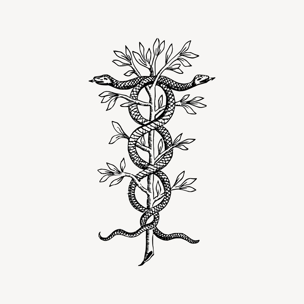 Snake emblem clipart, vintage illustration vector. Free public domain CC0 image.