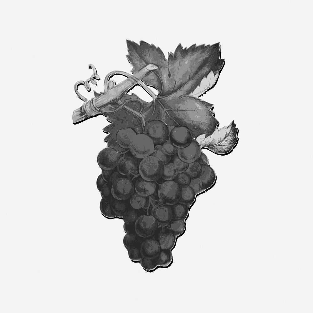 Grapes collage element, black & white illustration psd. Free public domain CC0 image.