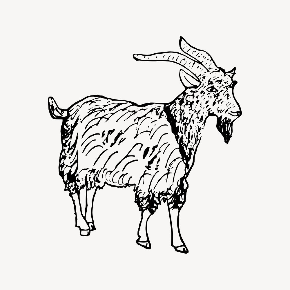 Goat clipart, vintage illustration vector. Free public domain CC0 image.