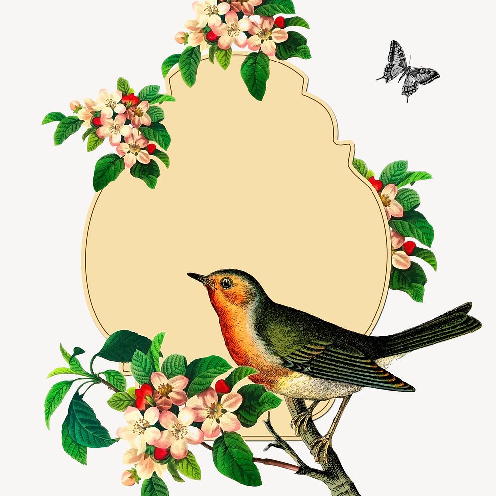 Bird frame clipart, animal illustration psd. Free public domain CC0 image