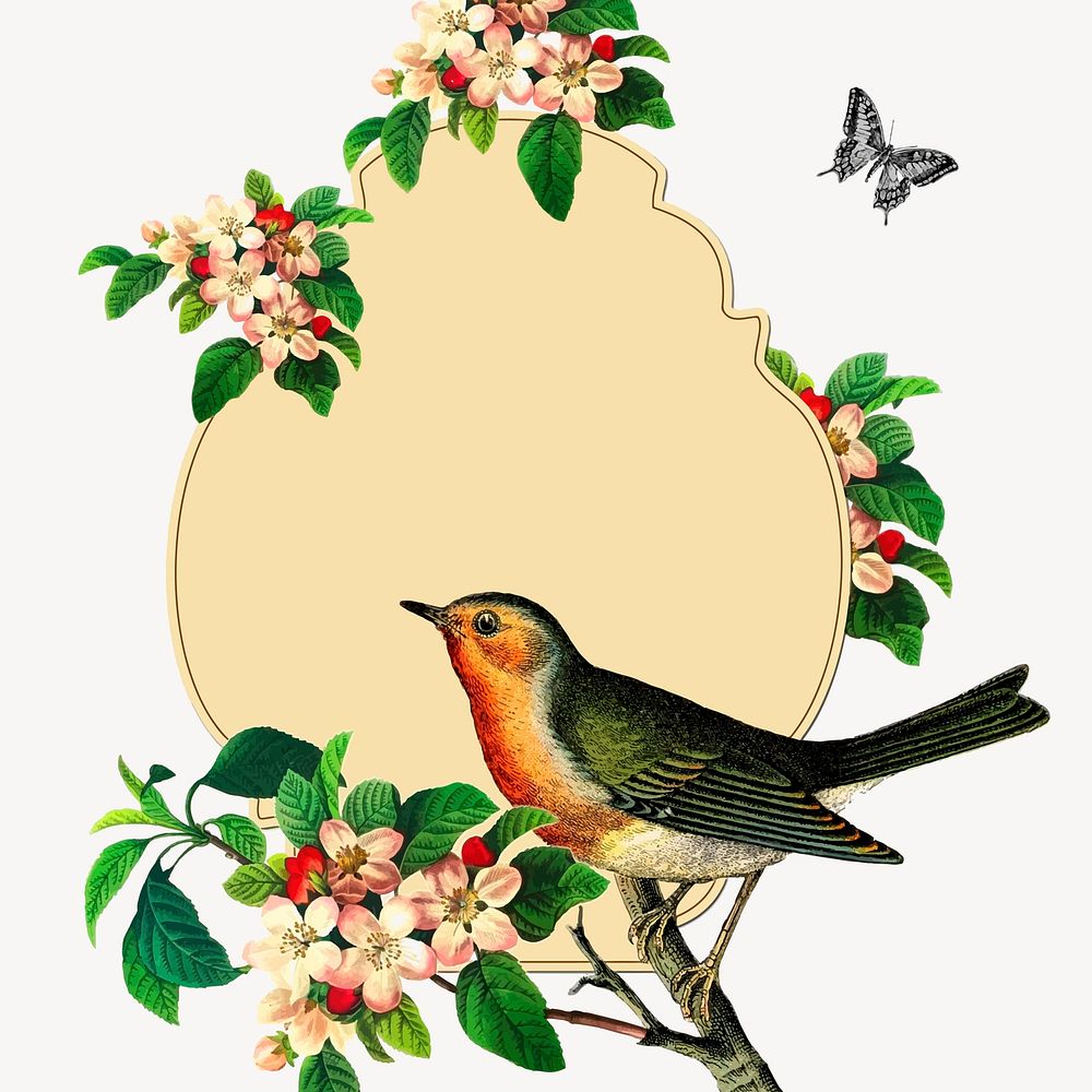 Bird frame clipart, animal illustration vector. Free public domain CC0 image