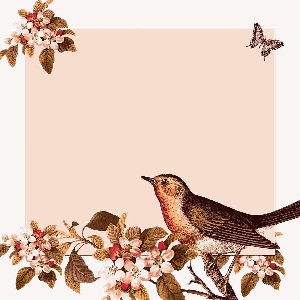 Bird frame clipart, animal illustration vector. Free public domain CC0 image