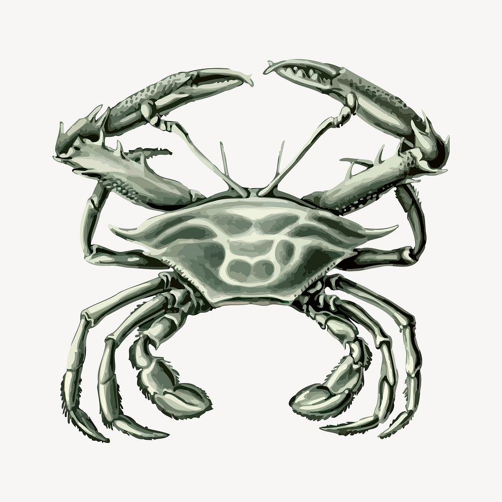 Crab clipart, animal illustration vector. Free public domain CC0 image