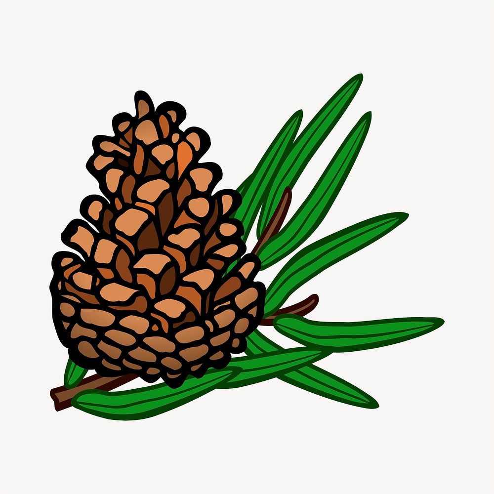 Pine cone illustration. Free public domain CC0 image