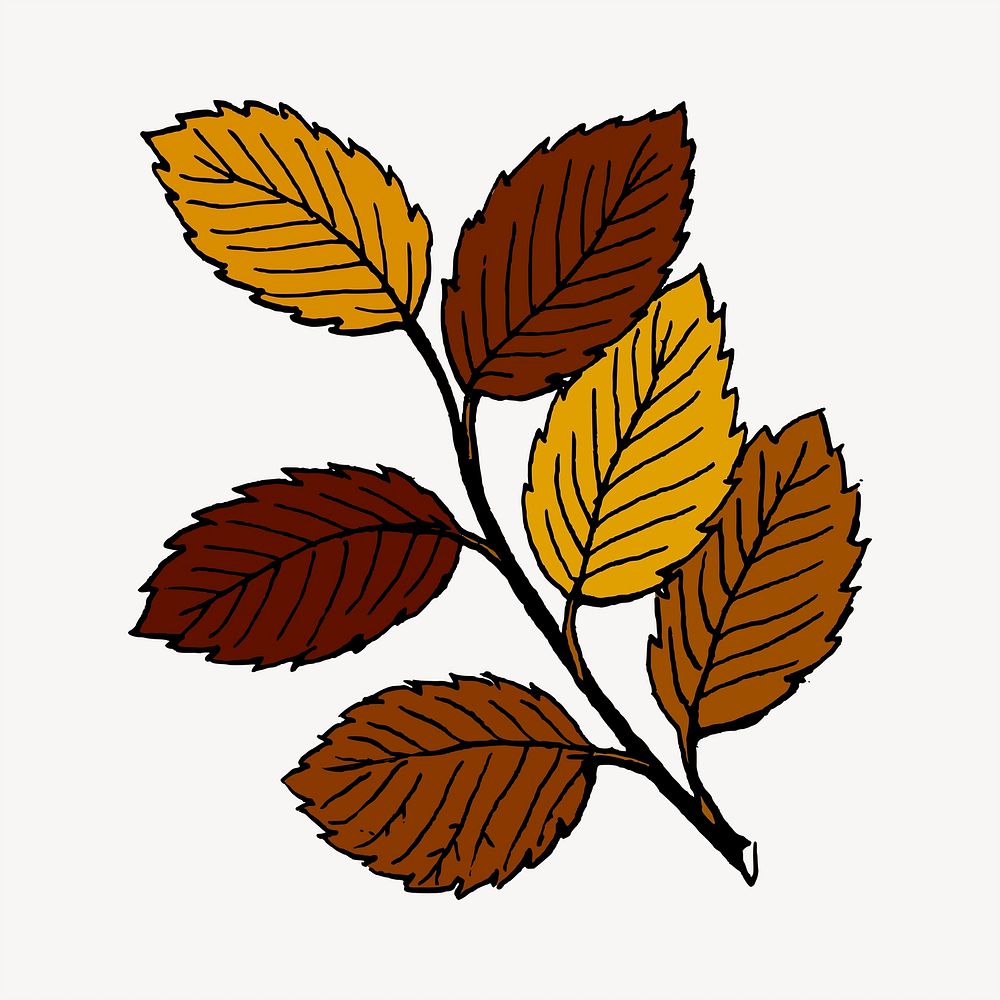 Autumn leaf branch, seasonal illustration. Free public domain CC0 image