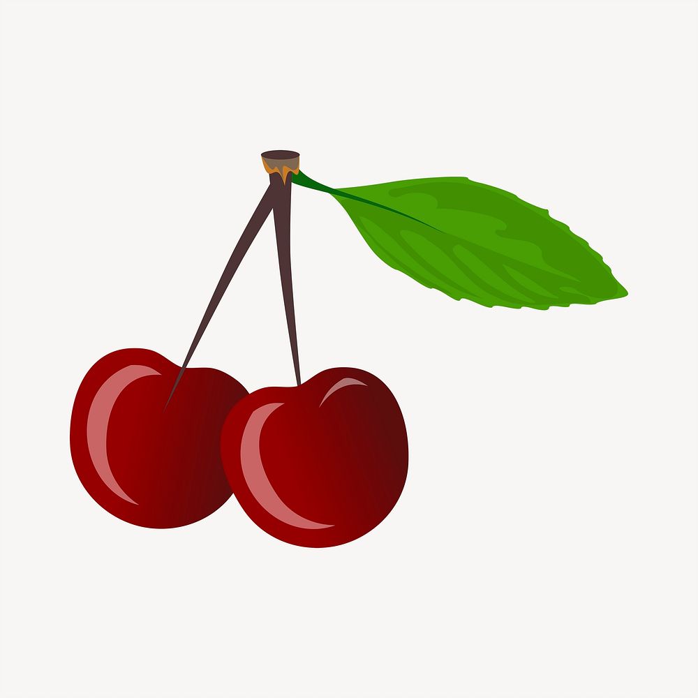 Cherries, fruit illustration. Free public domain CC0 image