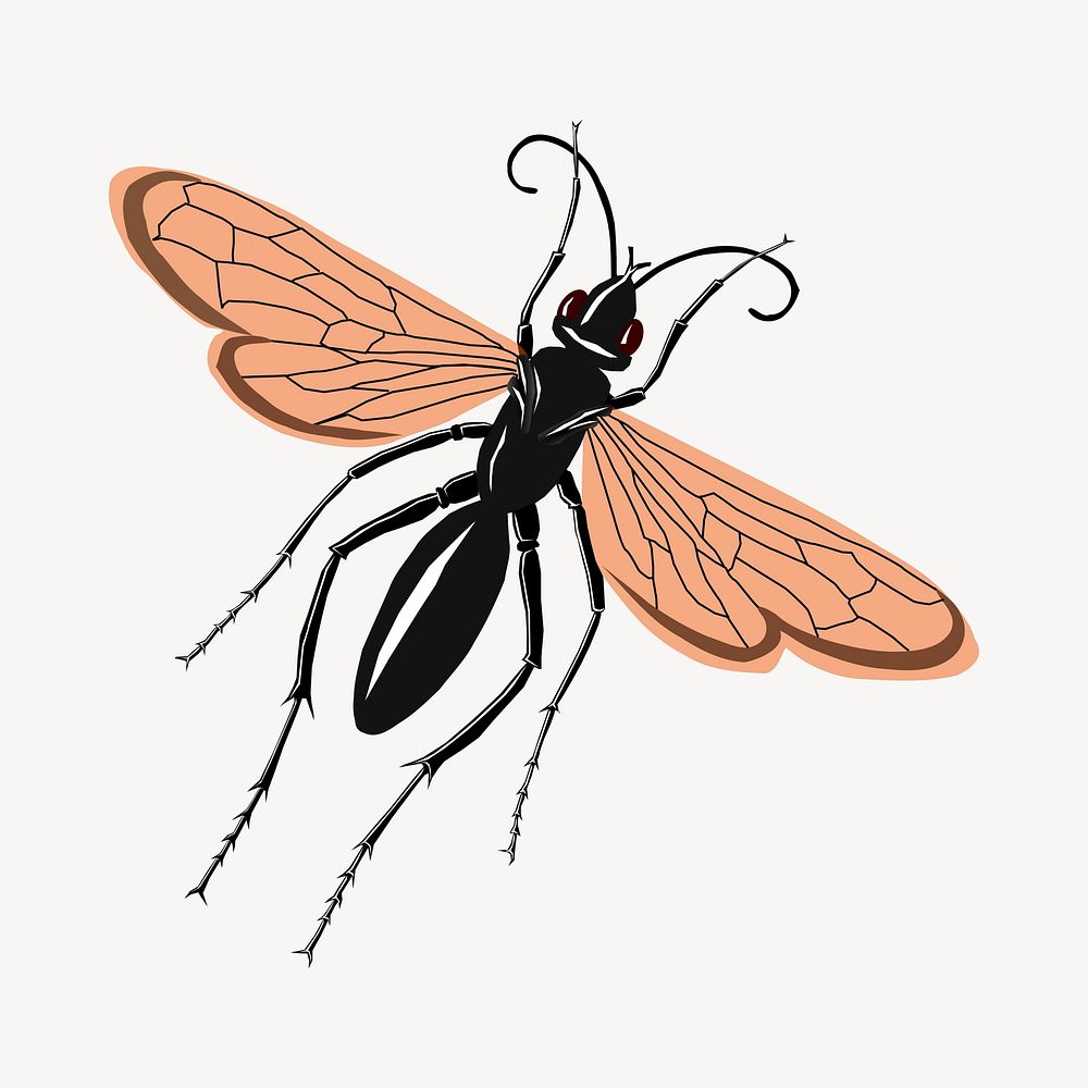 Black wasp clipart, animal illustration vector. Free public domain CC0 image