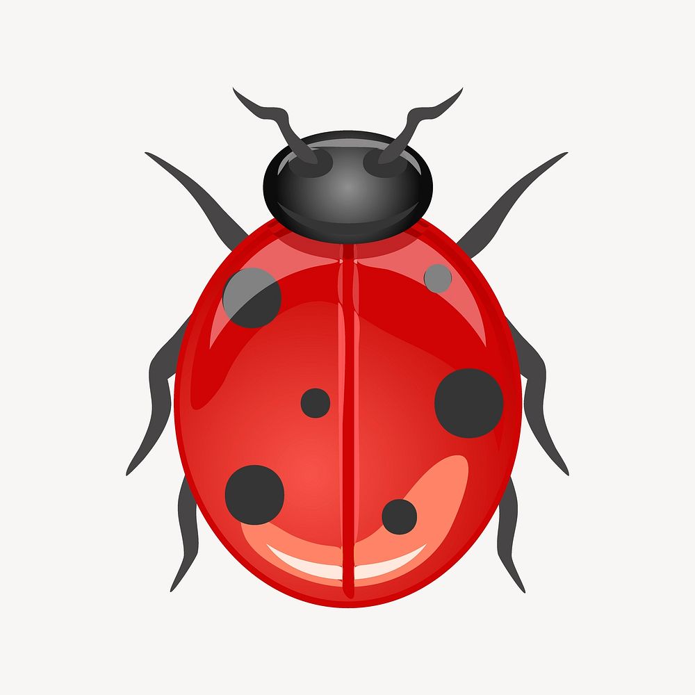 Ladybug clip art, animal illustration. Free public domain CC0 image.