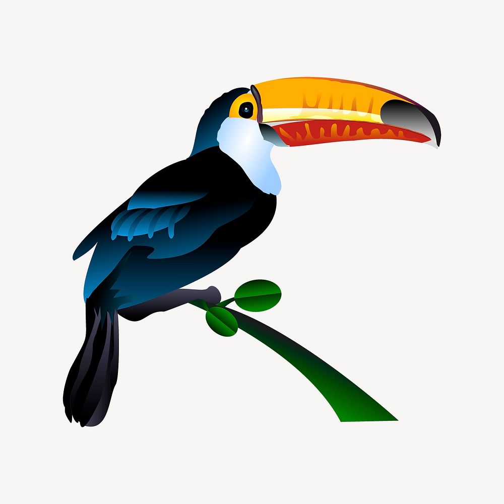 Toucan bird clipart, animal illustration psd. Free public domain CC0 image.