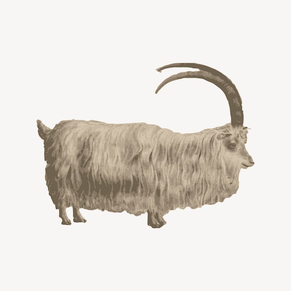 Mountain goat clip art, animal illustration. Free public domain CC0 image.