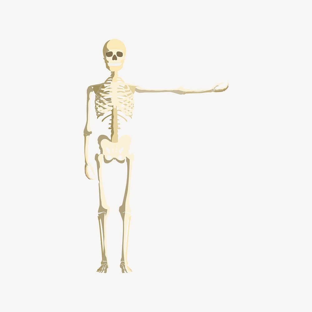Skeleton  clipart, vintage illustration psd. Free public domain CC0 image.