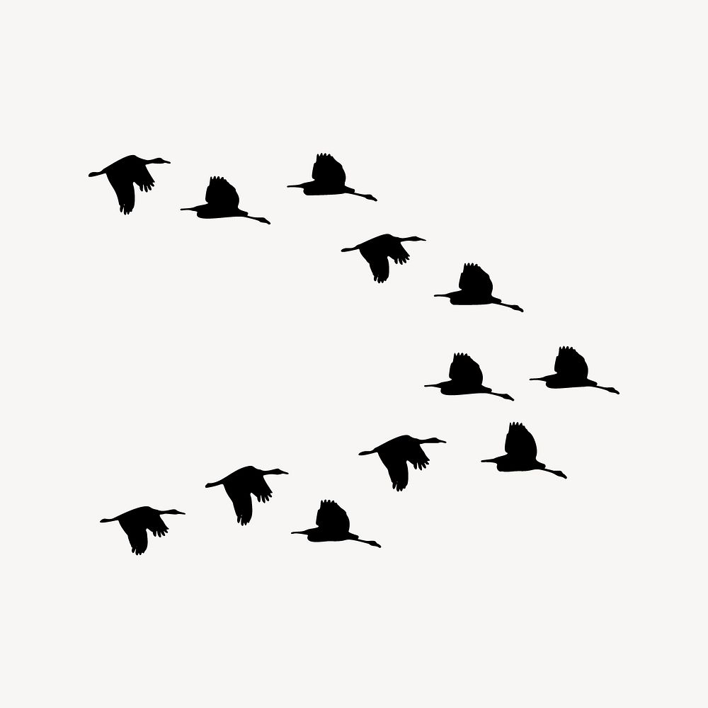 Bird flock silhouette collage element vector. Free public domain CC0 image.