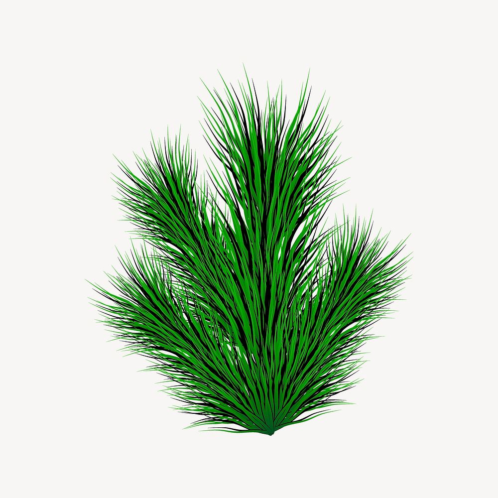 Pine leaf collage element vector. Free public domain CC0 image.