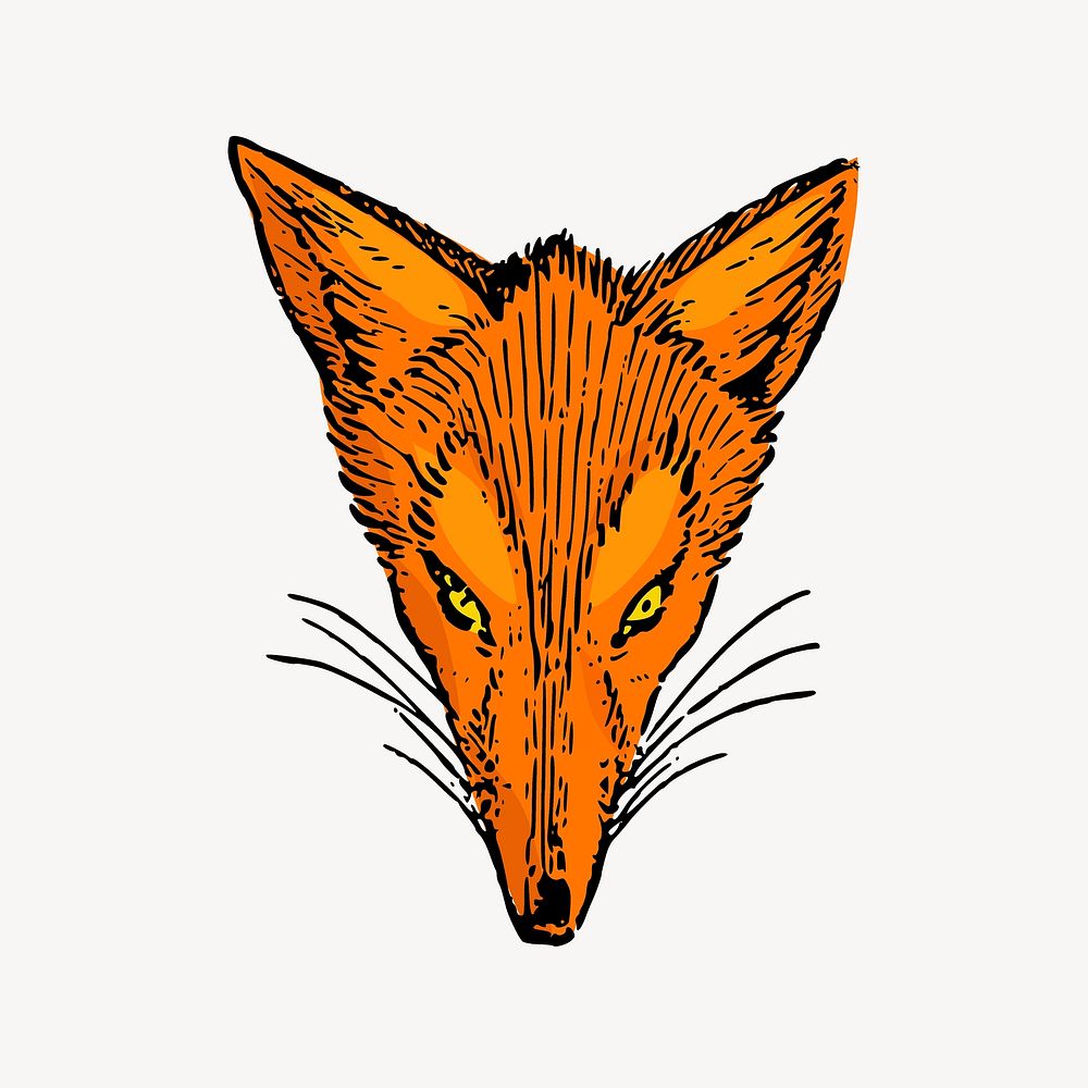 Fox face clip art, animal illustration. Free public domain CC0 image.