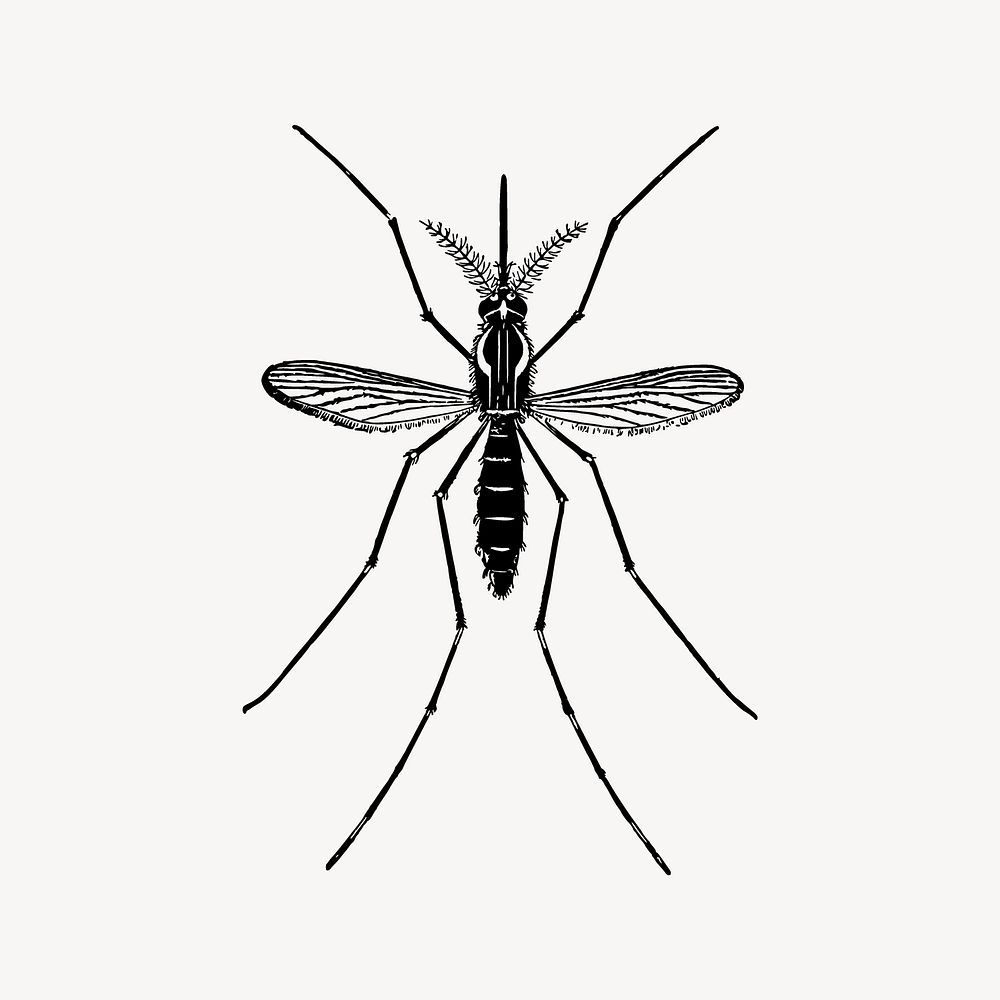 Mosquito collage element vector. Free public domain CC0 image.