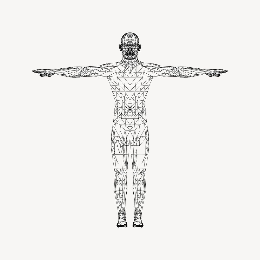 Human anatomy clipart vector. Free public domain CC0 image