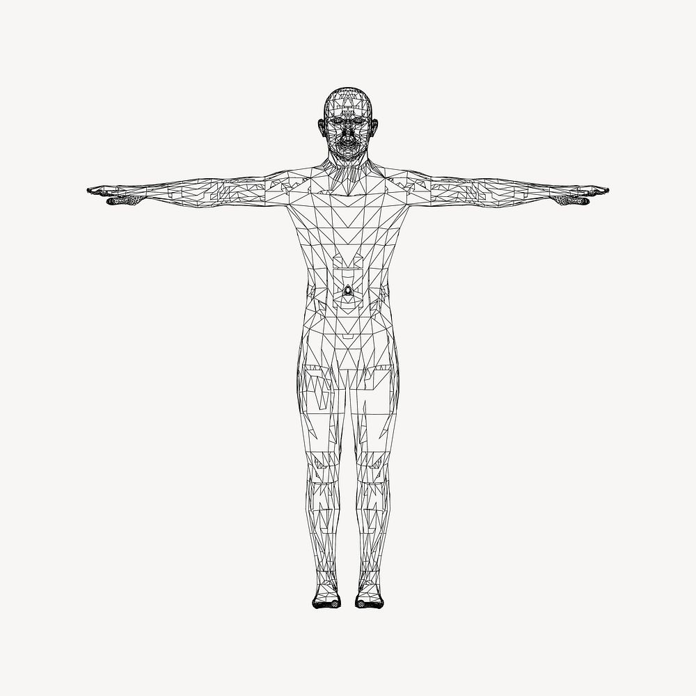 Human anatomy illustration. Free public domain CC0 image