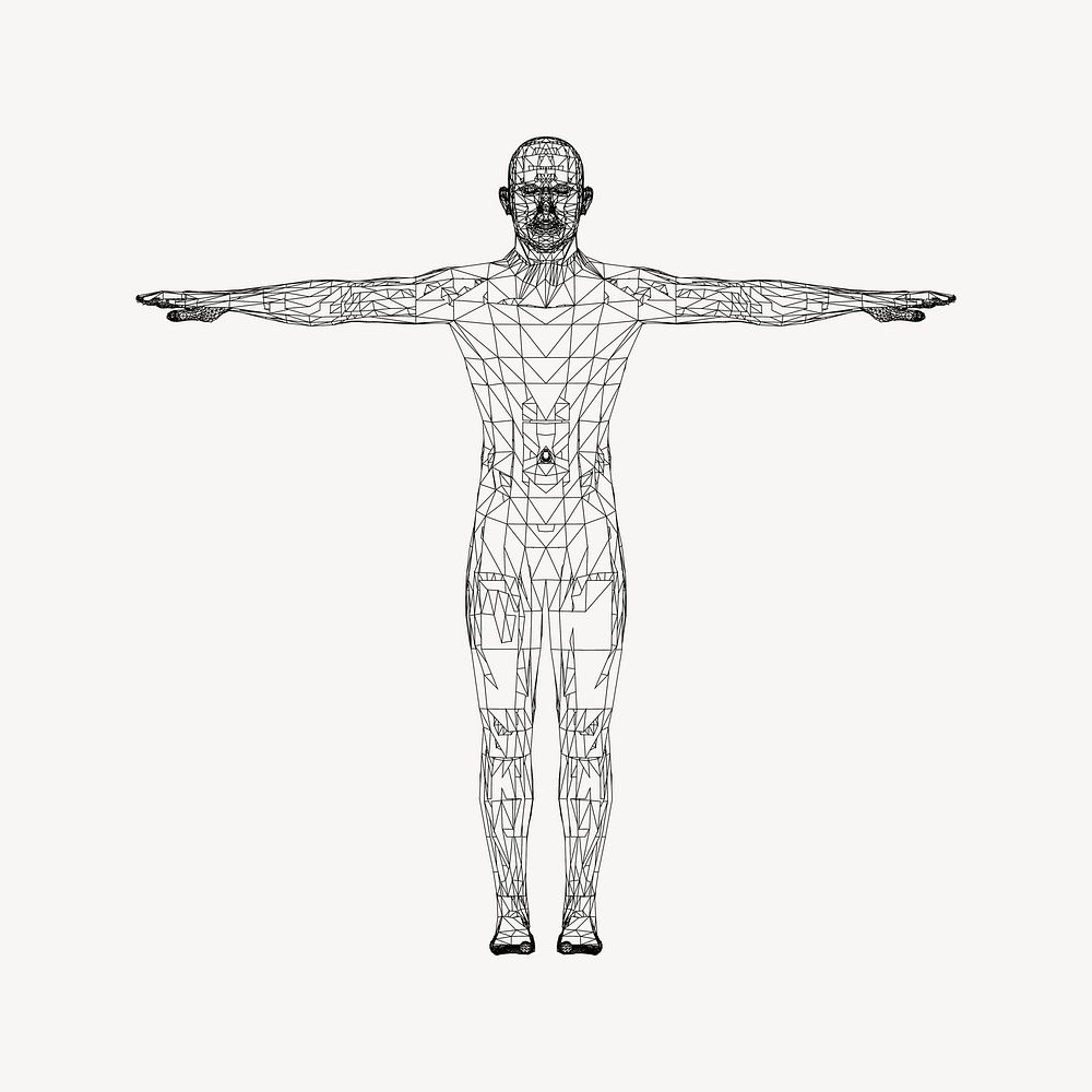 Human anatomy clipart psd. Free public domain CC0 image