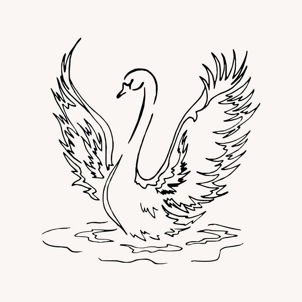 Swan clipart, animal illustration vector. Free public domain CC0 image