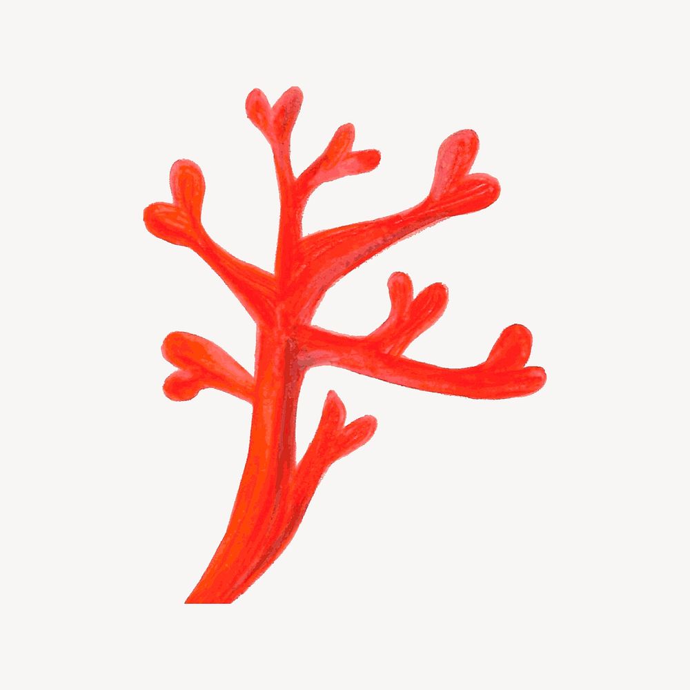 Red coral illustration. Free public domain CC0 image