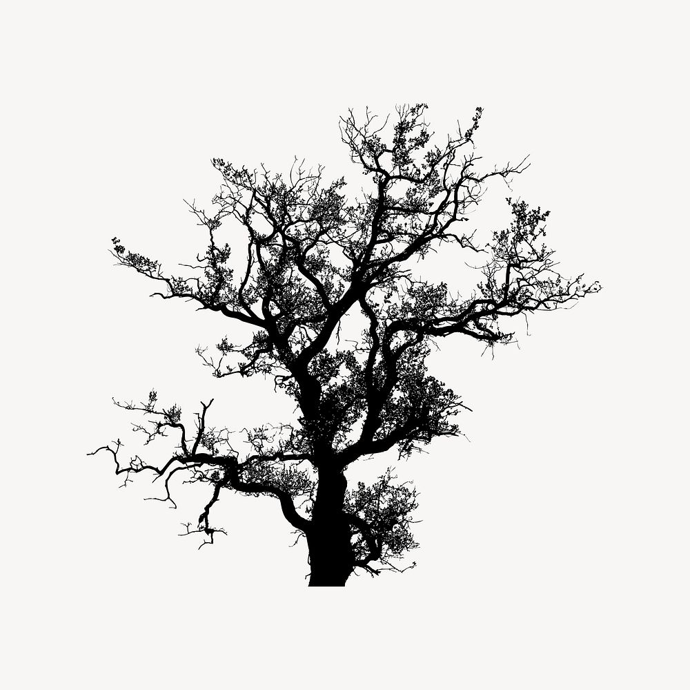 Tree silhouette clipart, botanical illustration vector. Free public domain CC0 image