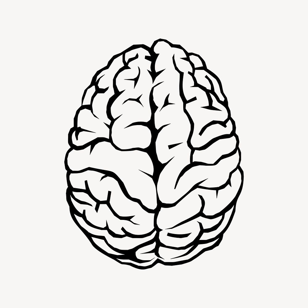 Brain illustration. Free public domain | Free Photo - rawpixel