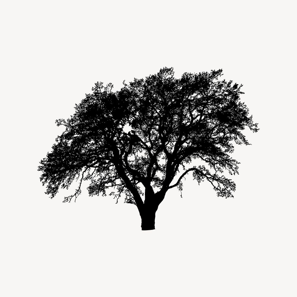 Tree silhouette clipart, botanical illustration vector. Free public domain CC0 image