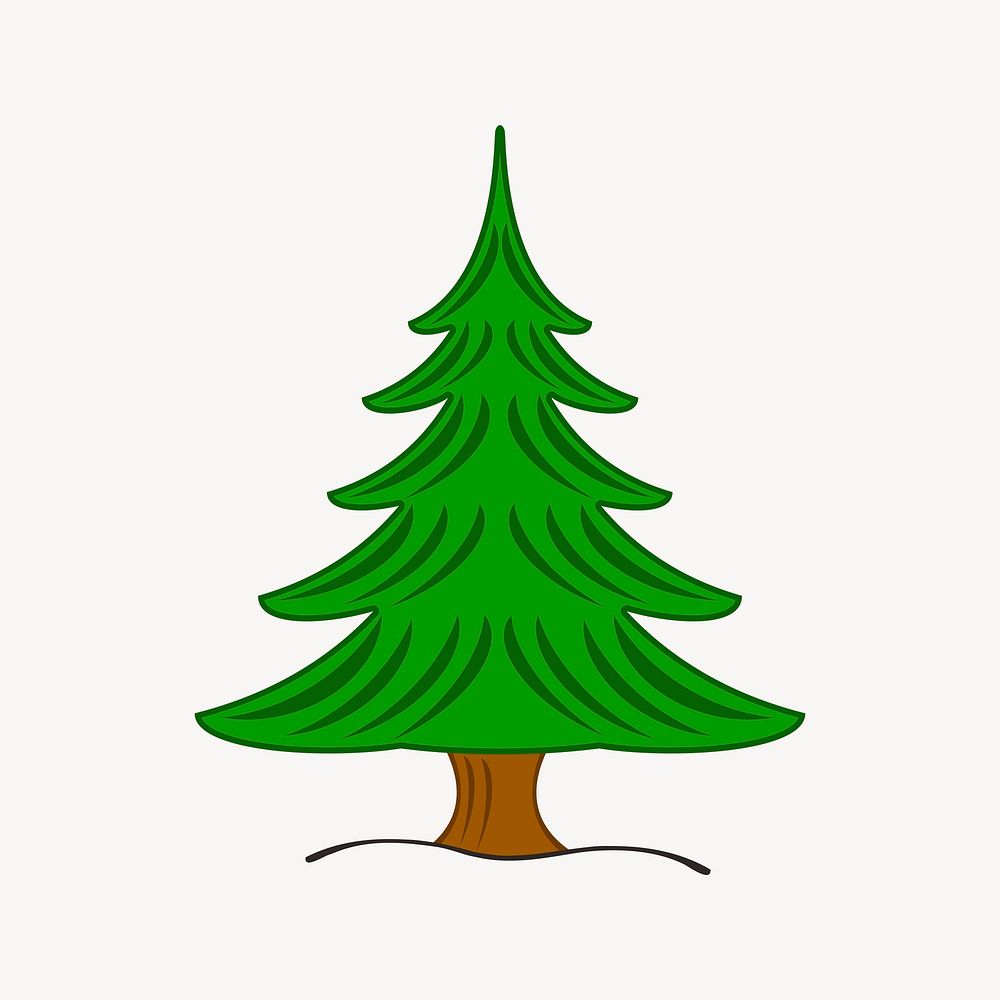 Pine tree clipart, botanical illustration vector. Free public domain CC0 image.