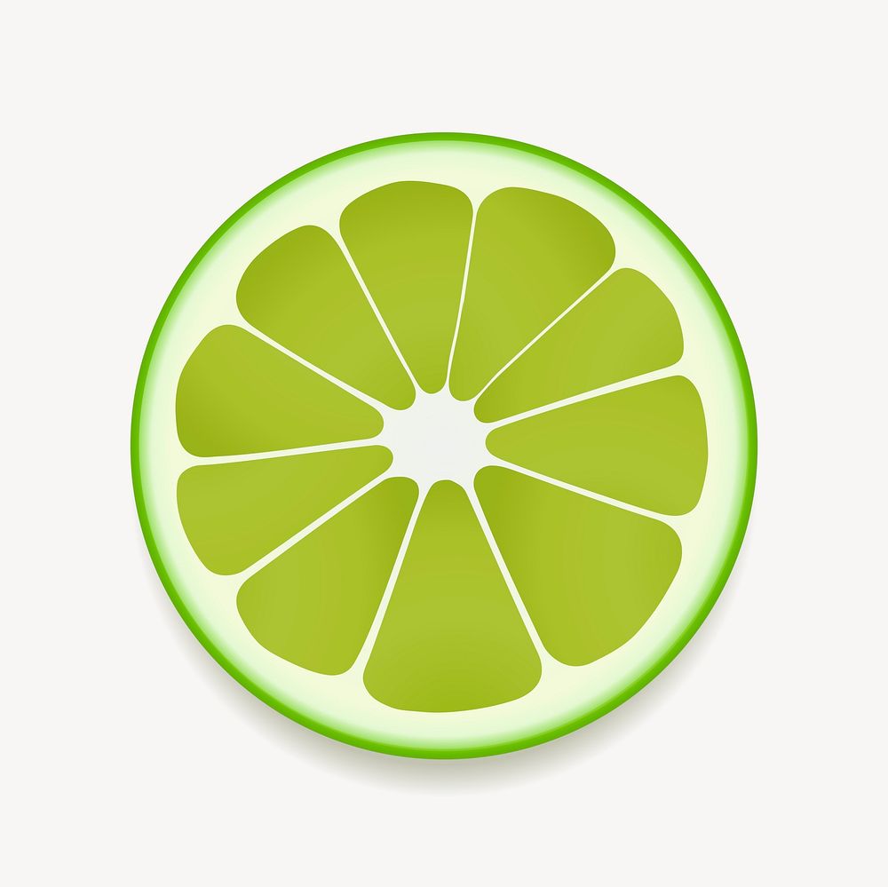 Lime slice clipart, food illustration vector. 