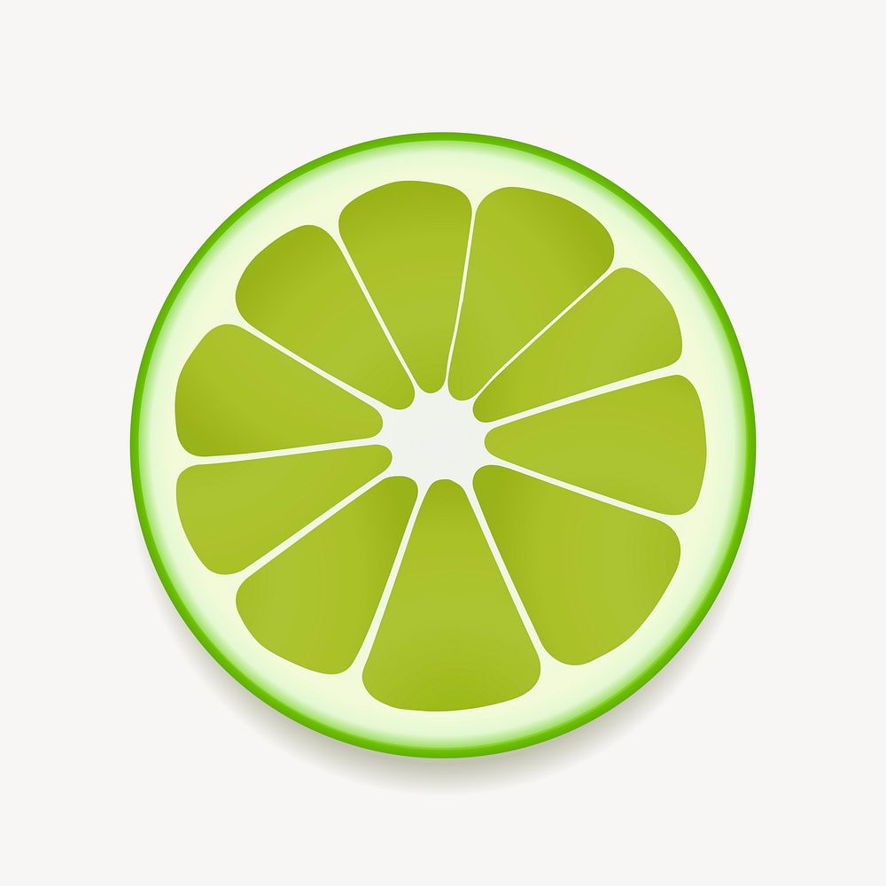 Lime slice, fruit illustration. Free public domain CC0 image.