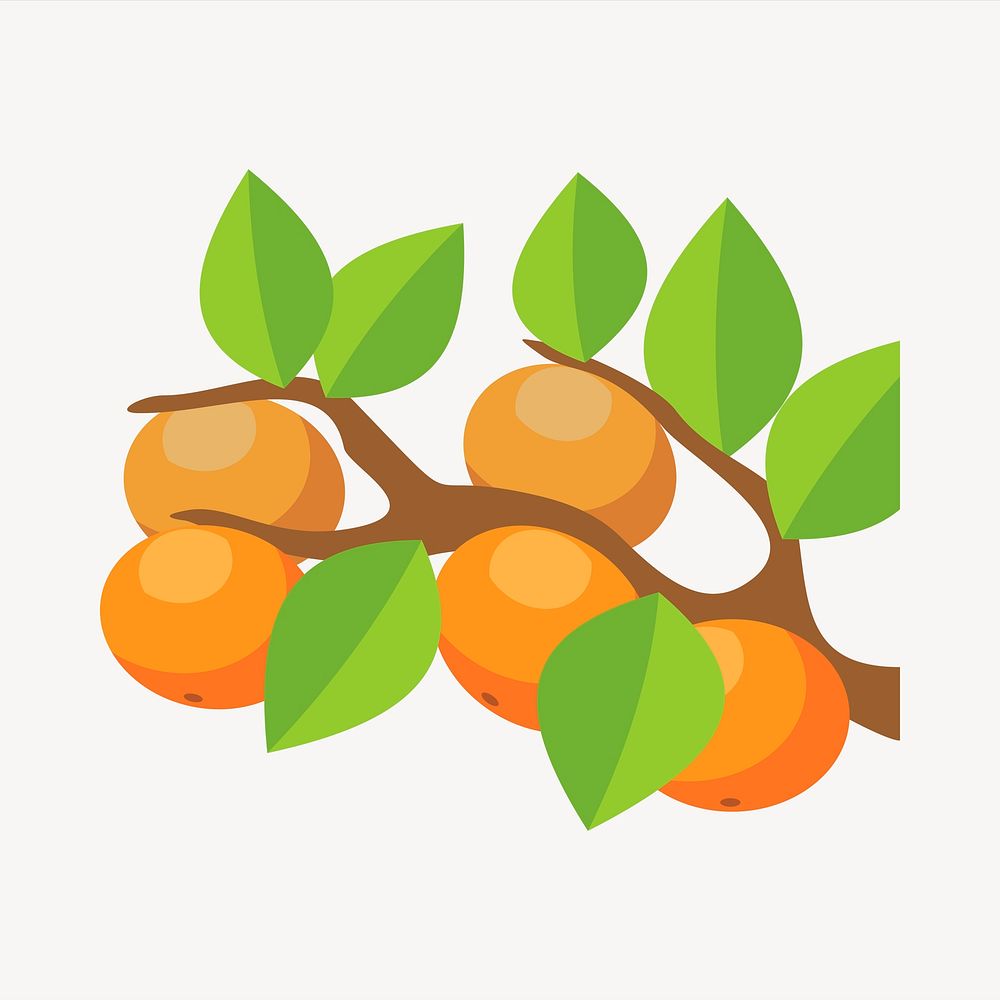 Orange branch collage element, fruit illustration vector. Free public domain CC0 image.