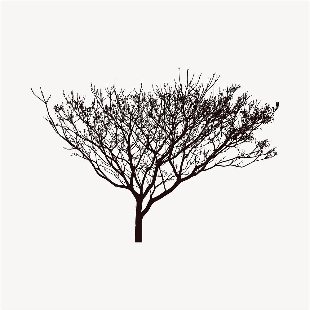 Leafless tree collage element, black and white illustration vector. Free public domain CC0 image.