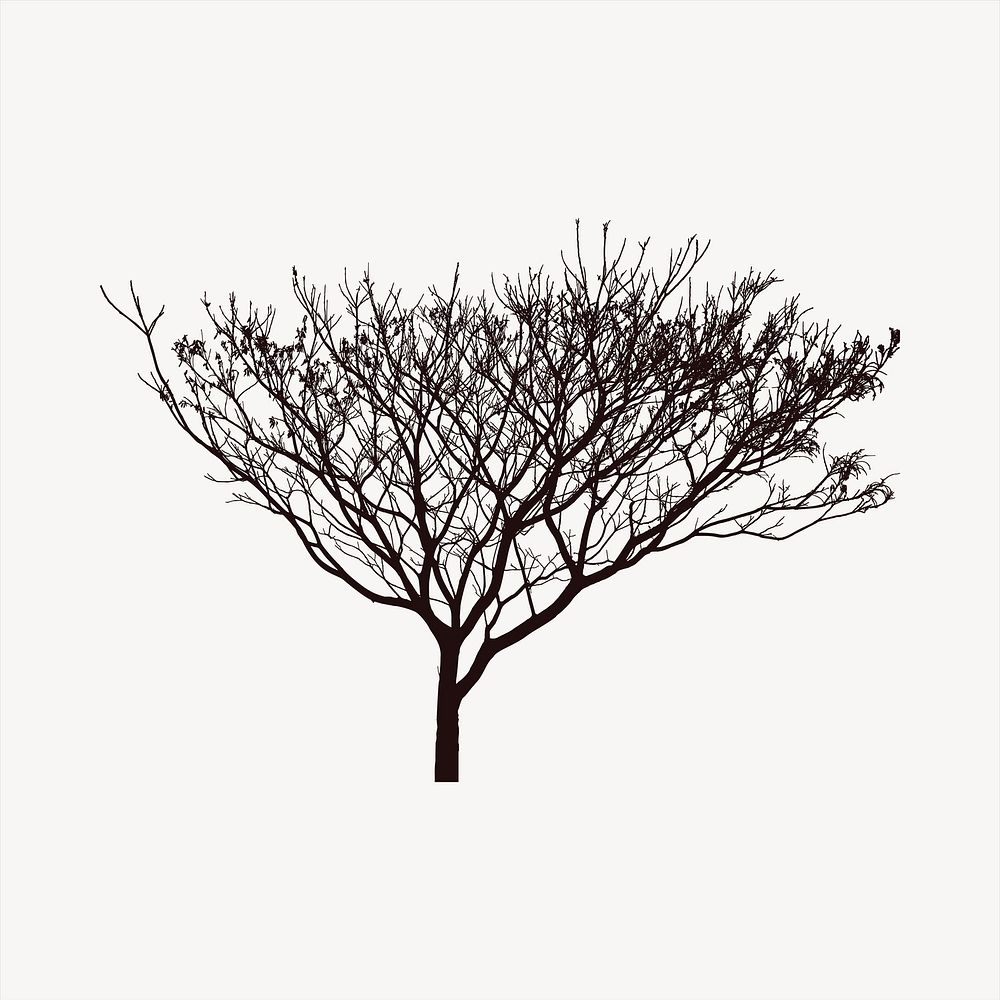 Leafless tree illustration. Free public domain CC0 image.
