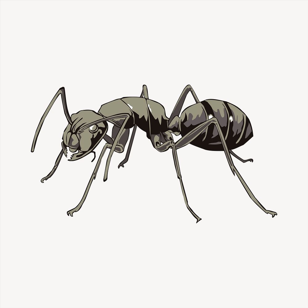 Ant collage element, animal illustration vector. Free public domain CC0 image.