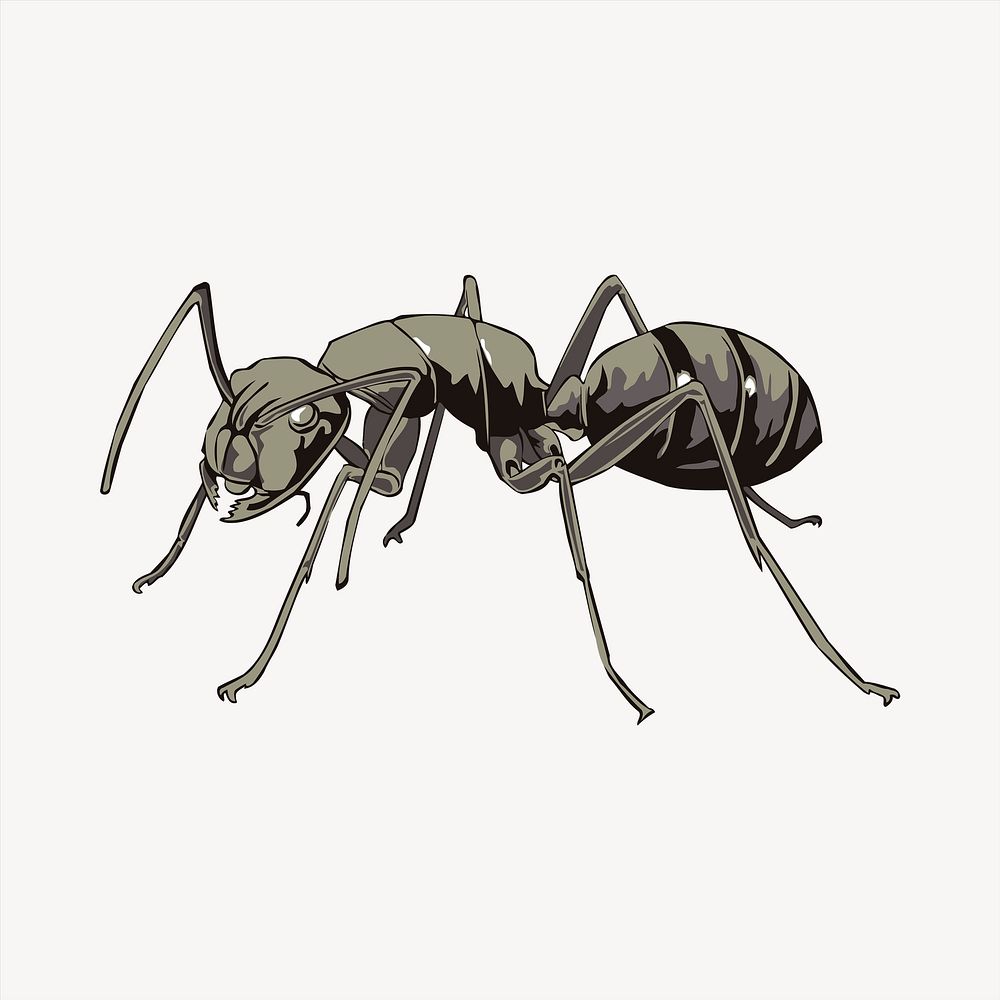 Ant clipart, animal illustration psd. Free public domain CC0 image.