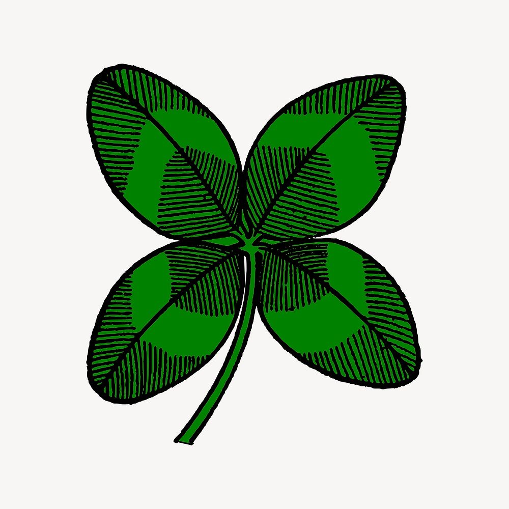 Clover leaf clip art. Free public domain CC0 image.