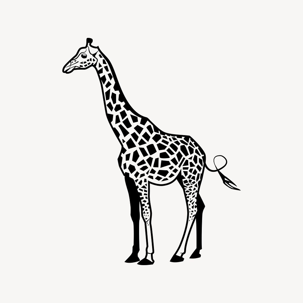Giraffe illustration, black and white drawing. Free public domain CC0 image.