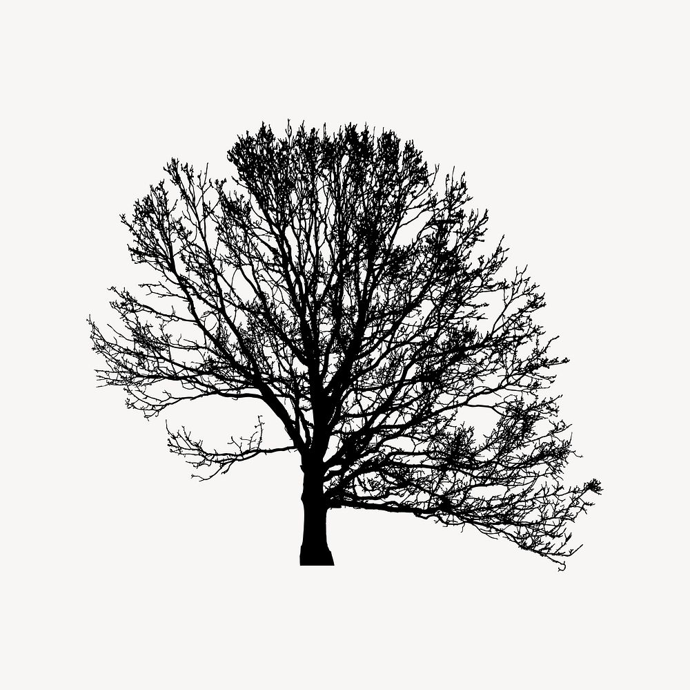 Leafless tree silhouette clipart, nature illustration vector. Free public domain CC0 image.