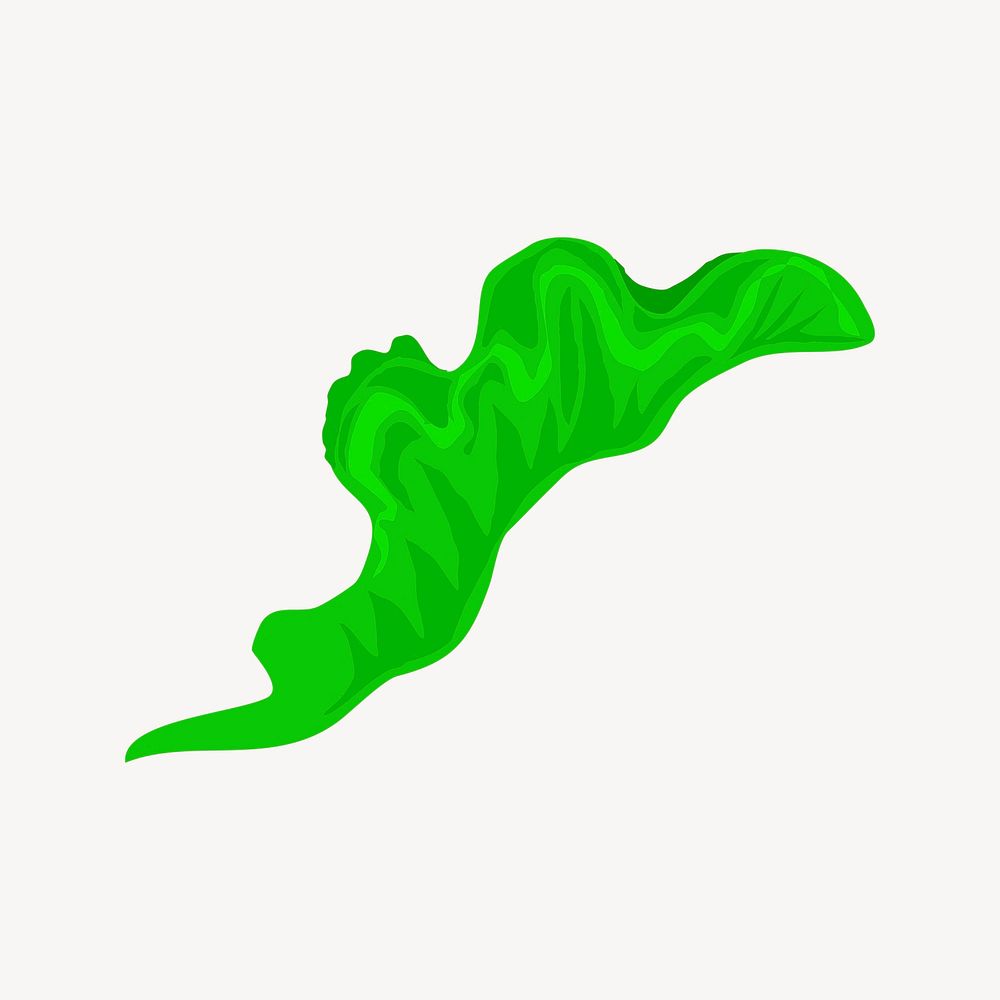 Lettuce clip art. Free public domain CC0 image.