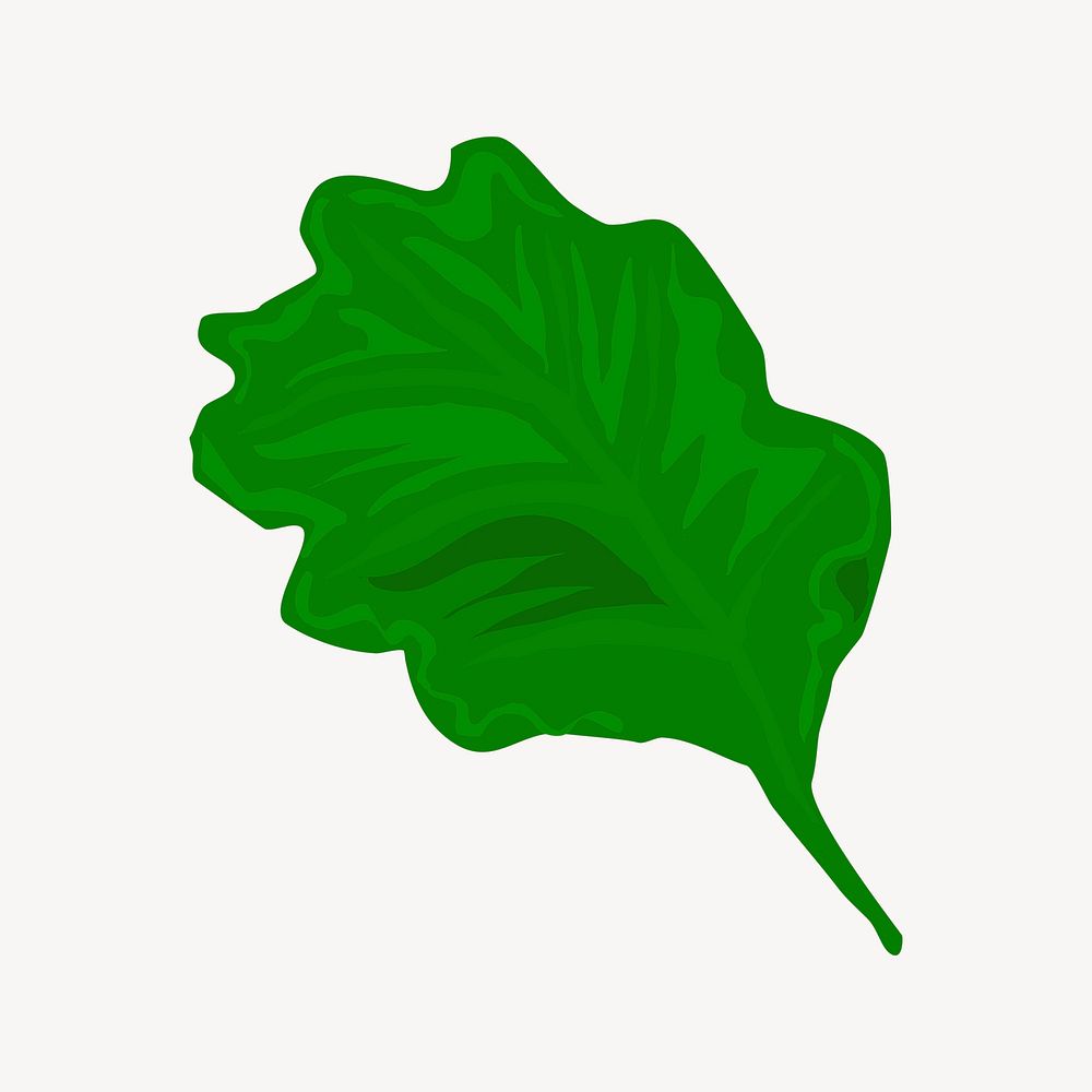 Lettuce collage element, cute illustration vector. Free public domain CC0 image.