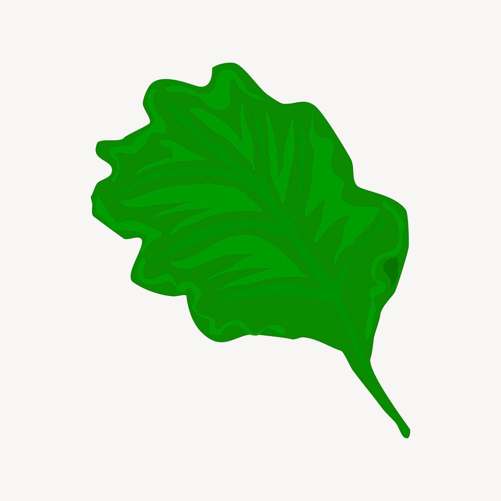 Lettuce collage element, cute illustration vector. Free public domain CC0 image.