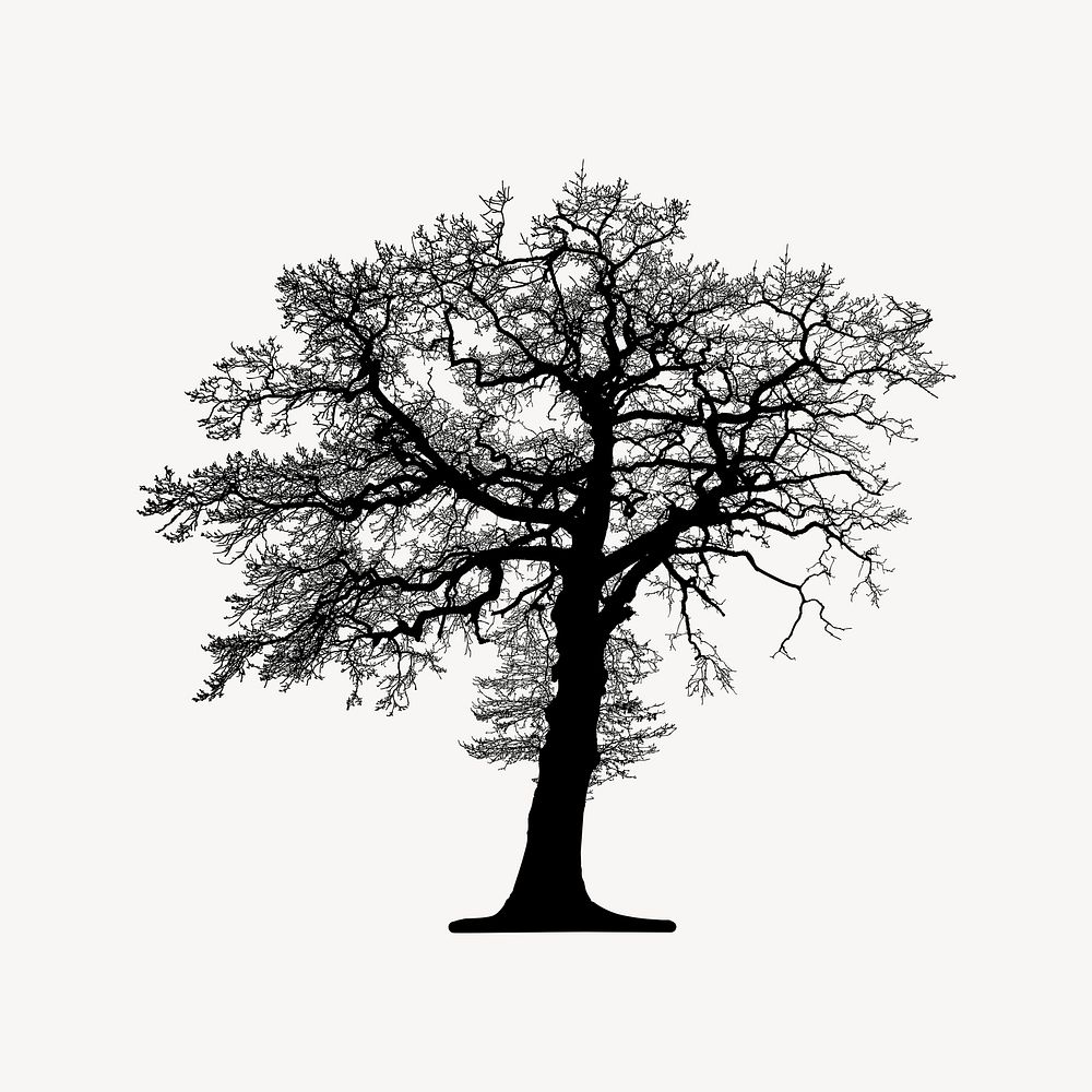 Leafless tree silhouette illustration psd. Free public domain CC0 image.