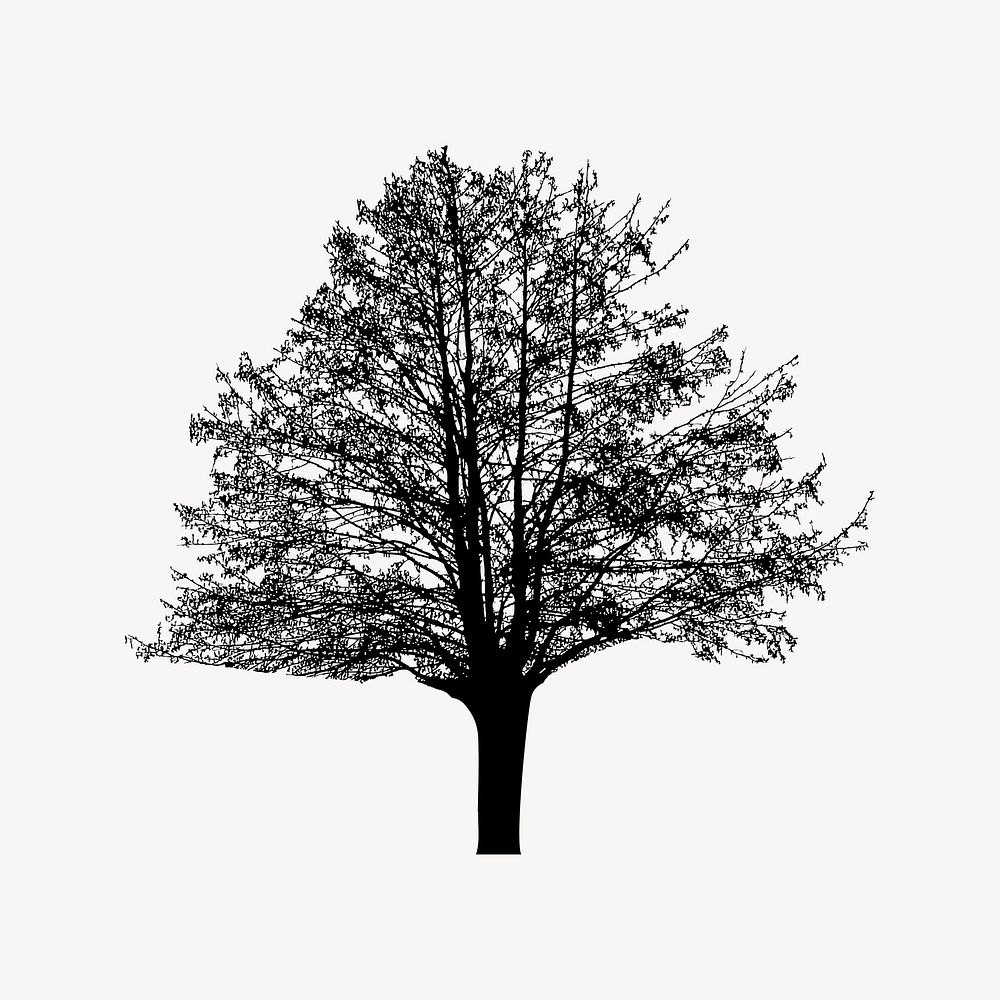 Tree silhouette illustration. Free public domain CC0 image.