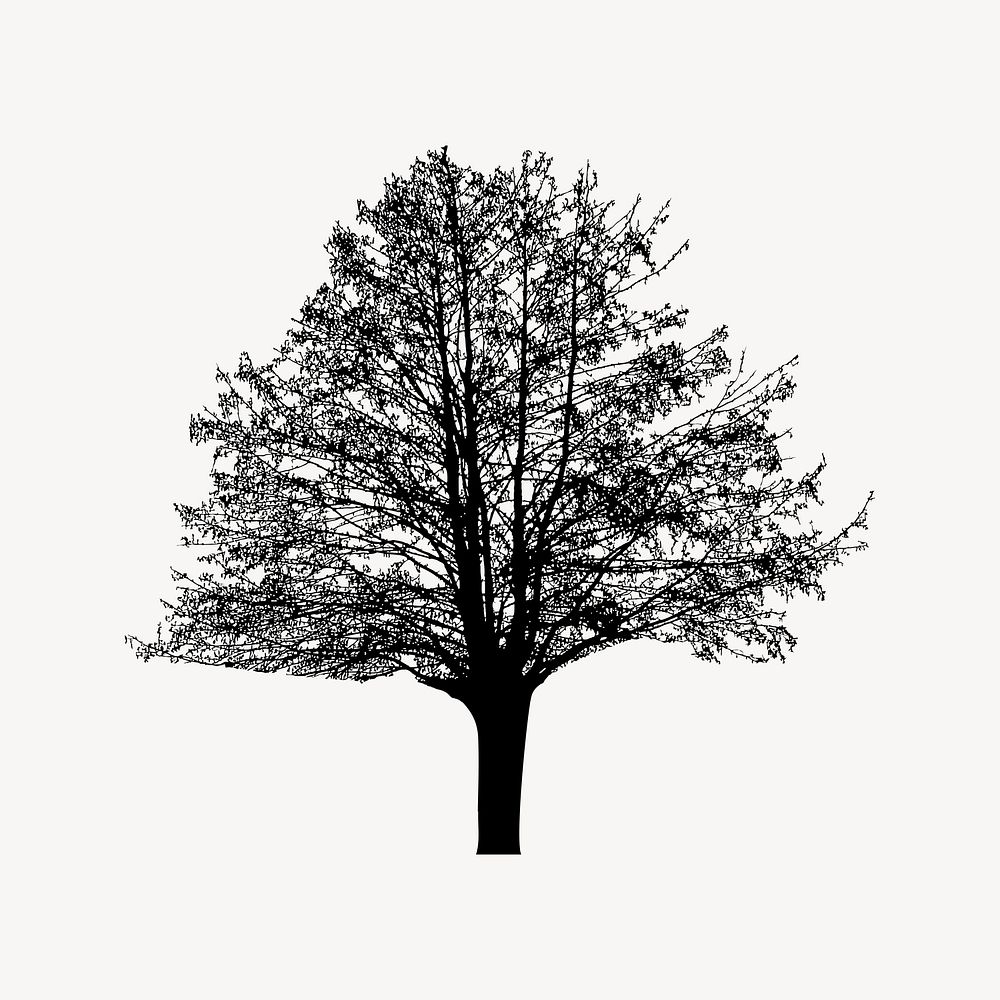 Tree silhouette illustration psd. Free public domain CC0 image.