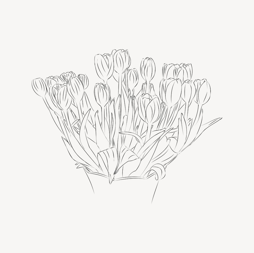 Tulips line art drawing, black and white illustration vector. Free public domain CC0 image.