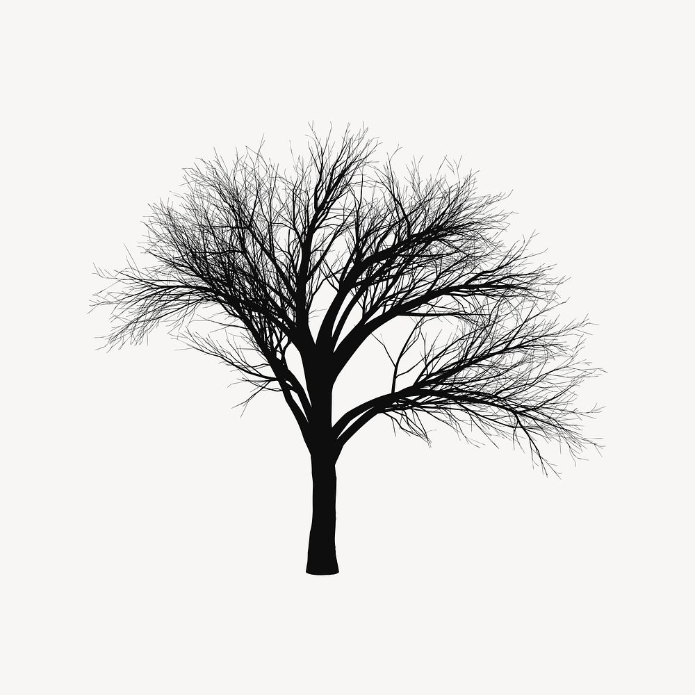 Leafless tree silhouette clipart, nature illustration vector. 