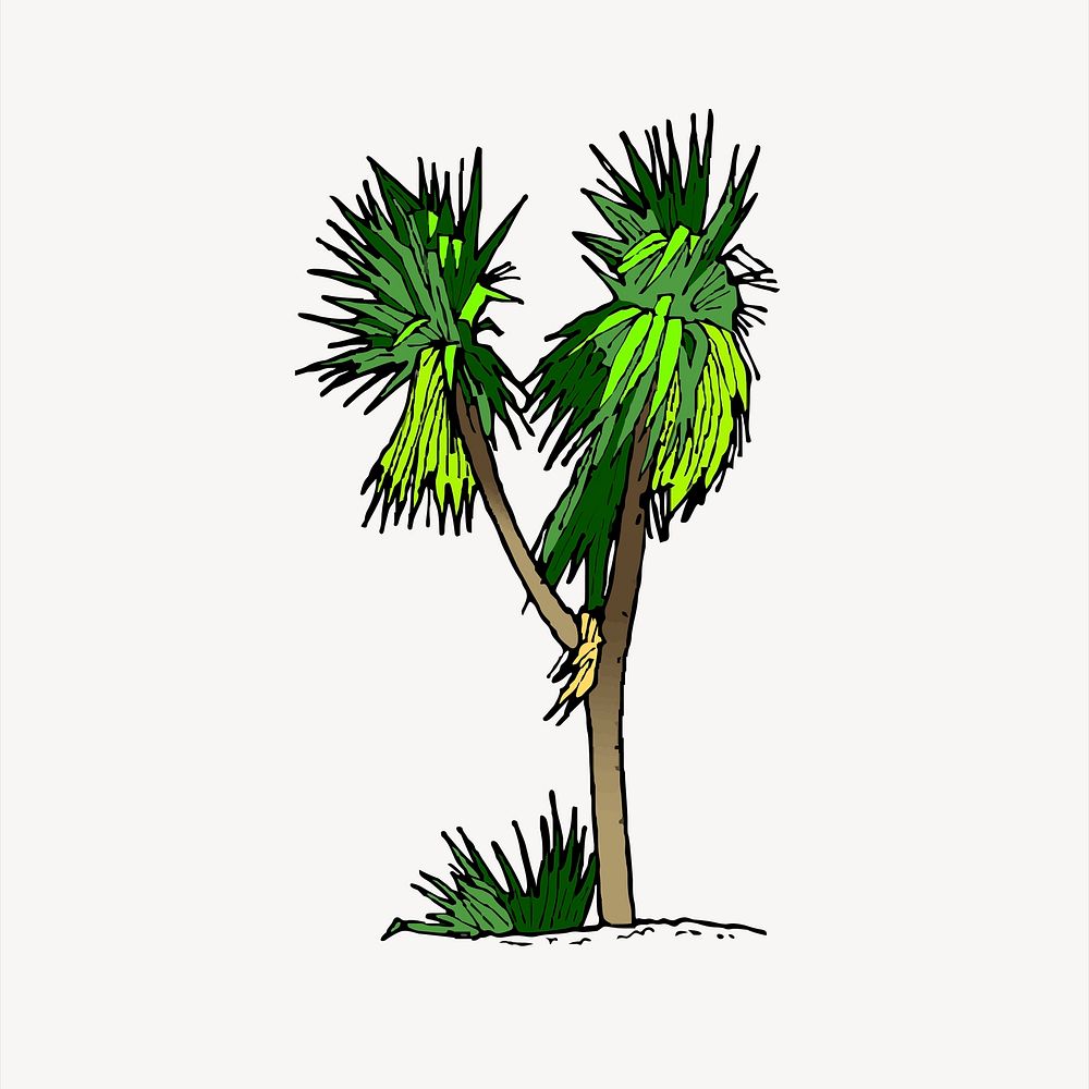 Palm tree clipart, nature illustration vector. Free public domain CC0 image.