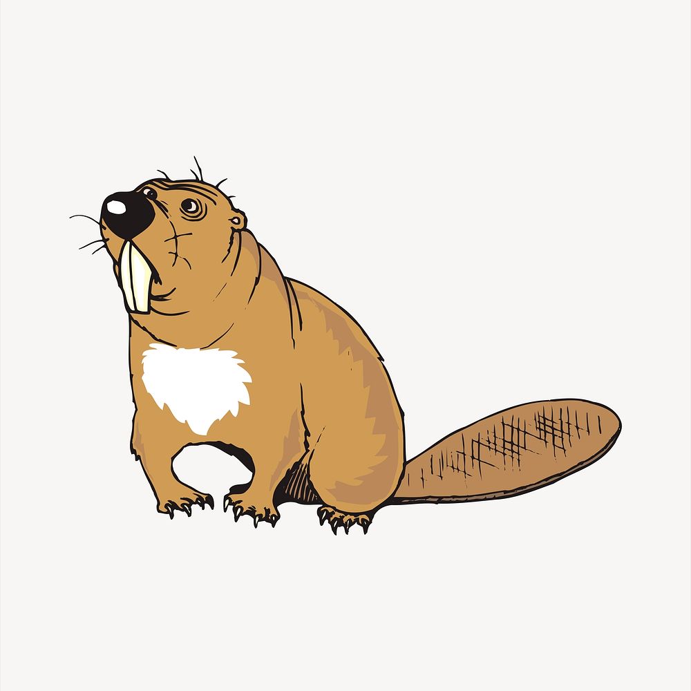 Beaver clipart animal illustration vector. Free public domain CC0 image.