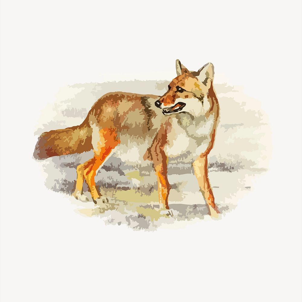 Coyote clipart animal illustration vector. Free public domain CC0 image.