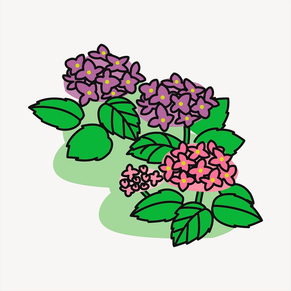 Hydrangea bush clipart, nature illustration psd. Free public domain CC0 image.